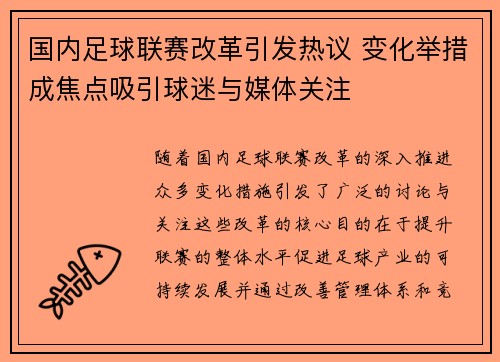 国内足球联赛改革引发热议 变化举措成焦点吸引球迷与媒体关注