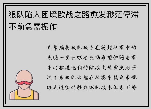 狼队陷入困境欧战之路愈发渺茫停滞不前急需振作
