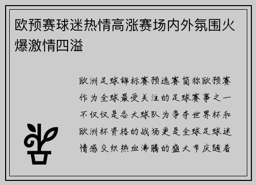欧预赛球迷热情高涨赛场内外氛围火爆激情四溢