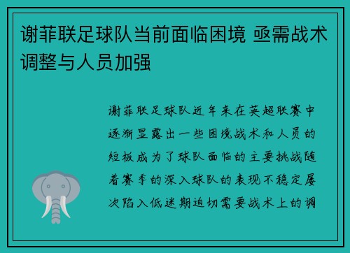 谢菲联足球队当前面临困境 亟需战术调整与人员加强