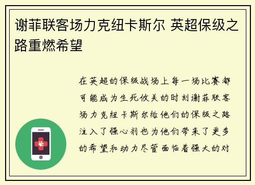 谢菲联客场力克纽卡斯尔 英超保级之路重燃希望